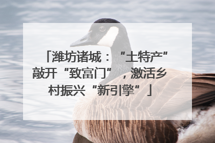 潍坊诸城：“土特产”敲开“致富门”，激活乡村振兴“新引擎”